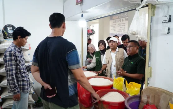 Ilustrasi beras premium di gudang Bulog dengan tumpukan karung beras