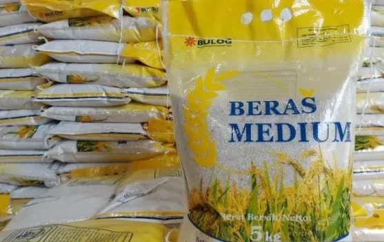 Truk pengangkut beras milik BULOG di gudang penyangga stok