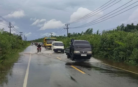 Peta prakiraan cuaca BMKG menunjukkan wilayah berpotensi hujan lebat