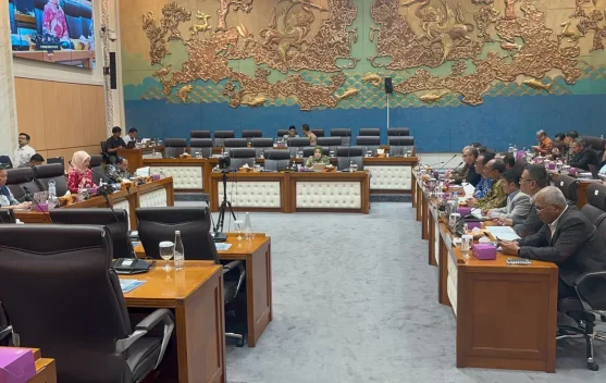 DPR dan LPP bahas peningkatan konten positif untuk meredam hoaks