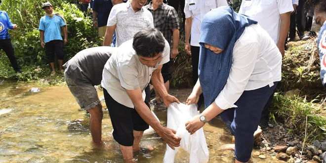Wabup Atika menabur benih ikan di Aek Katong Desa Lumban Dolok