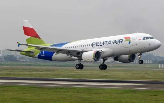 Ilustrasi kerja sama Pelita Air dan BNI dengan gambar pesawat dan promo tiket