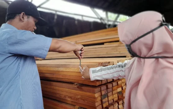 Ilustrasi pengolahan kayu dan pengawasan hutan