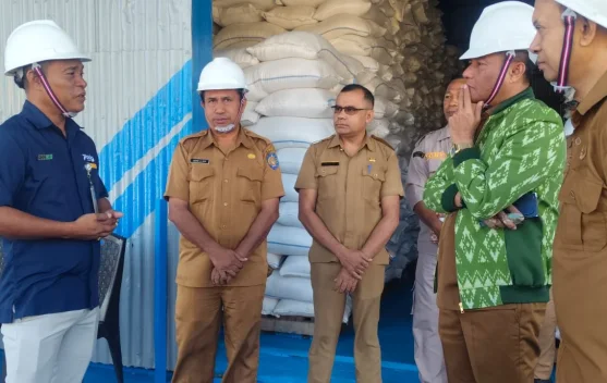 Petani memanen padi di Rote Ndao sebagai bagian program penyerapan Bulog