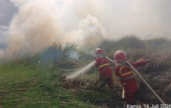 Manggala Agni berjaga untuk mencegah kebakaran hutan di Kalimantan Selatan