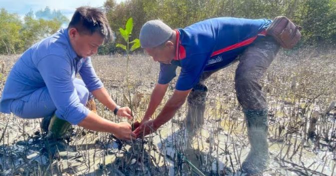Hutan mangrove di Pantai Sejarah Perupuk, Batubara, sebagai pelindung pantai dan lokasi ekowisata