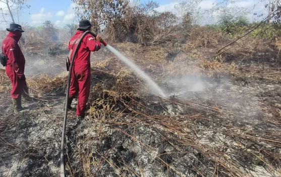 Peta wilayah rawan dampak El Nino dan kebakaran hutan