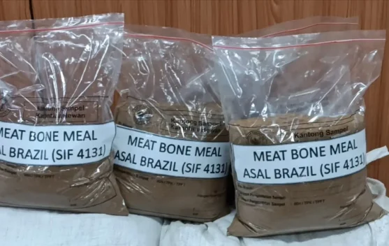 Proses pemusnahan MBM di PPLI Klapanunggal, Bogor, dengan alat berat dan tumpukan produk