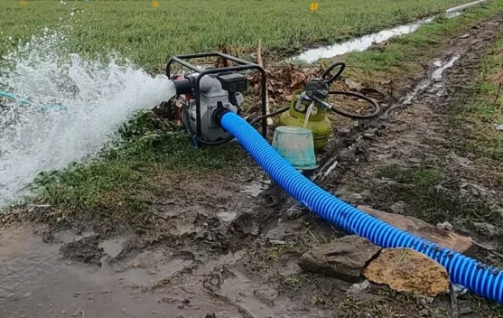 Petani dan pompa air irigasi di lahan sawah untuk mitigasi kekeringan