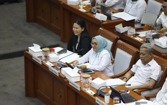 Menteri PPPA Arifah Fauzi saat rapat kerja dengan Komisi VIII DPR RI di Jakarta