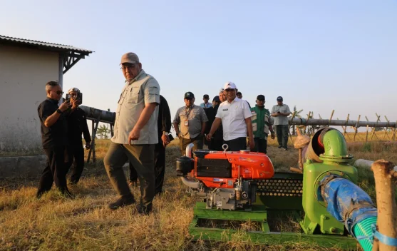 Petani menggunakan pompa air di sawah sebagai upaya mitigasi kekeringan