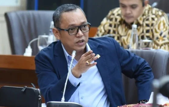 Presiden dan pejabat meninjau lahan terbakar di Kalimantan