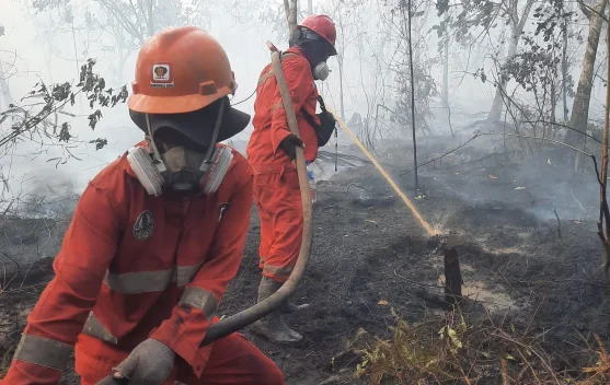 Petugas memadamkan kebakaran lahan gambut di Kalimantan dengan dukungan helikopter