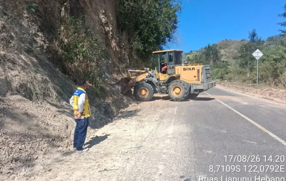 Alat berat membersihkan longsor di Jalan Trans Flores pascagempa NTT