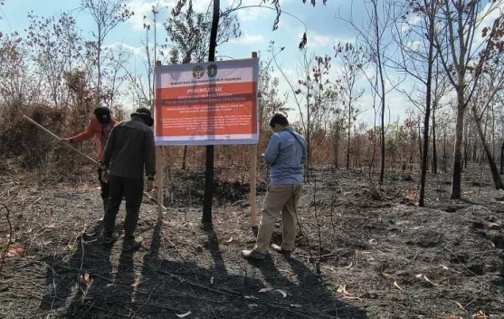 Pembakaran lahan dan upaya pengendalian kebakaran hutan di Kalimantan