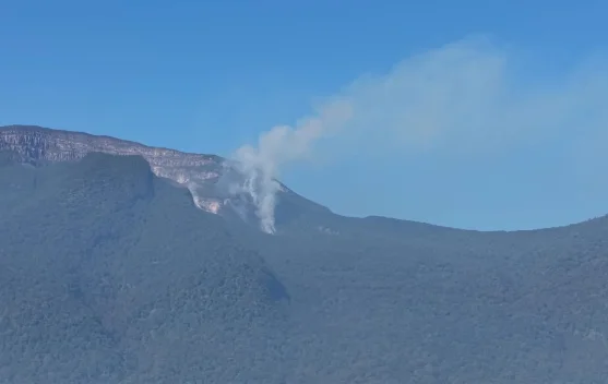 Kebakaran lahan di sabana Gunung Gede Pangrango dekat Alun-Alun Barat Surya Kencana
