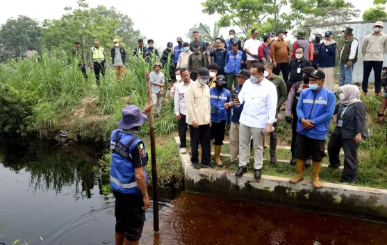Wakil Menteri KLH tinjau lahan gambut terbakar di Kalimantan Barat