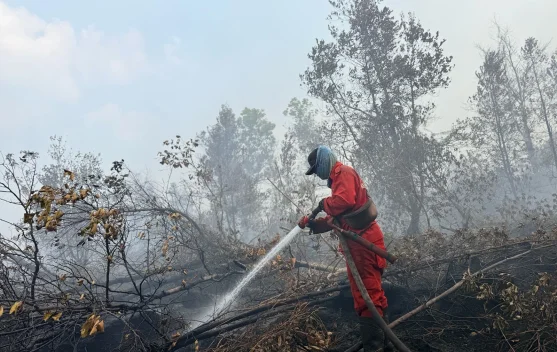 Citra satelit menunjukkan sebaran hotspot kebakaran hutan dan lahan