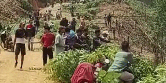 Areal hutan yang diduga dirambah di sekitar lokasi PT SSL, Padang Lawas