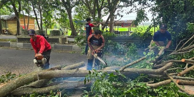 Balai ambruk dan pohon tumbang akibat angin kencang di Aceh Besar