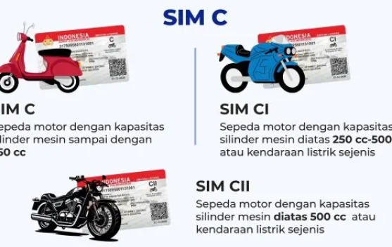 Ilustrasi berbagai jenis SIM dan kendaraan sesuai golongan