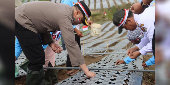 Petani dan anggota Polres Humbahas sedang menanam bibit bawang putih di Desa Ria-Ria
