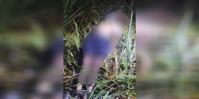 Lokasi perkebunan tebu di Hamparan Perak tempat penemuan mayat