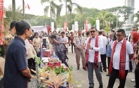 Ilustrasi sarang burung walet dan proses ekspor