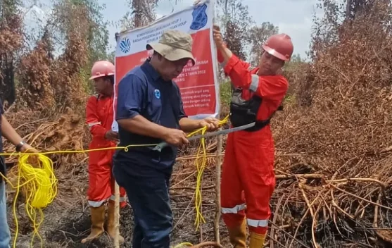 Pemasangan plang pengawas lingkungan di area konsesi yang disegel oleh KLH