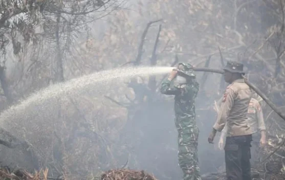 Asap kebakaran lahan di Desa Kerumutan, Pelalawan, Riau