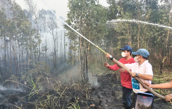 Ilustrasi lahan kering saat puncak kemarau 2026 dan peringatan BMKG