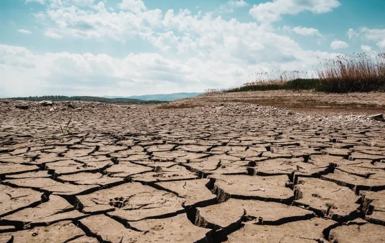 BMKG memperkuat sistem peringatan dini menghadapi El Nino kuat 2026