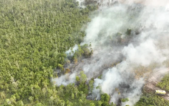 Helikopter water bombing memadamkan kebakaran lahan di Kalimantan