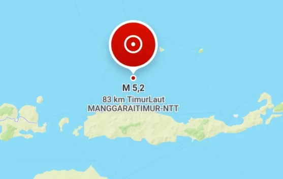 Ilustrasi guncangan gempa di Ruteng, Manggarai, NTT