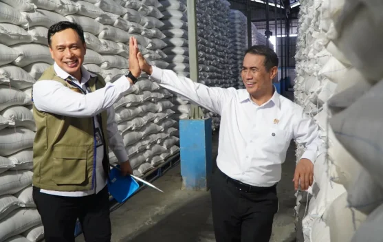 Ilustrasi gudang penyimpanan beras Bulog dan stok pangan nasional