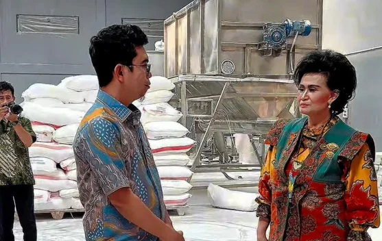 Ilustrasi pengolahan singkong dan perempuan pelaku usaha di desa