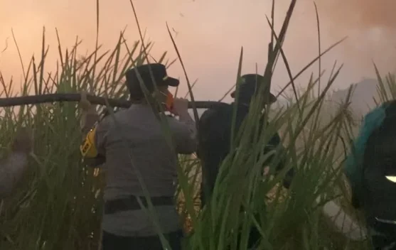 Personel gabungan melakukan pemadaman karhutla di Taman Nasional Way Kambas