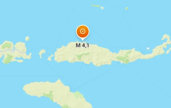 Peta lokasi gempa 42 km utara Ruteng, Manggarai, Flores
