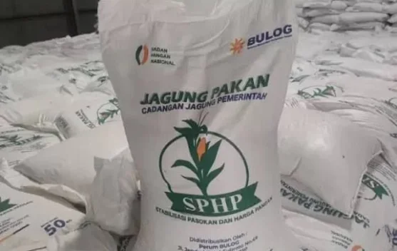 Distribusi jagung untuk pakan peternak dalam program SPHP yang diawasi Kementan