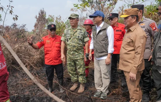 Menteri Kehutanan imbau tidak membakar lahan selama El Nino sangat kuat