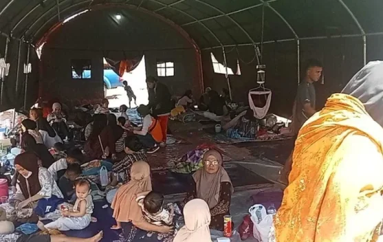Ilustrasi grafik gempa susulan dan peta Flores NTT yang menunjukkan aktivitas kegempaan