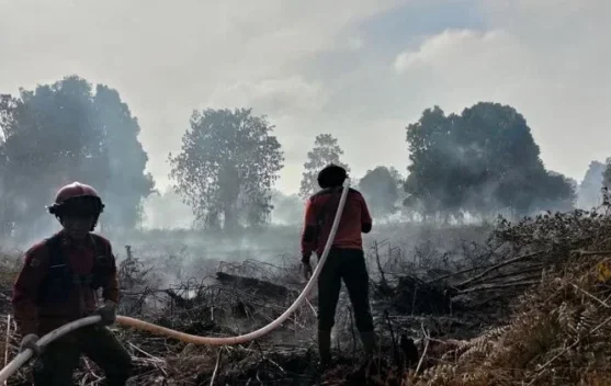 Asap kebakaran lahan di Riau, petugas dan masyarakat terdampak kabut asap