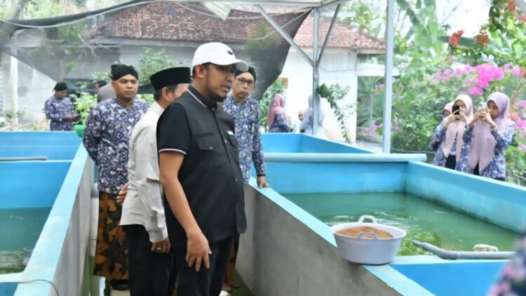 Bupati Sumenep meninjau kolam lele dan peternakan ayam petelur di Desa Bataal Timur