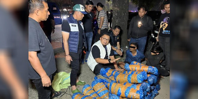 Petugas polisi Medan menunjukkan barang bukti ganja yang disita