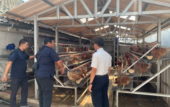 Tim Lapas Batang mempelajari peternakan ayam dan puyuh di Lapas Sumedang untuk program ketahanan pangan