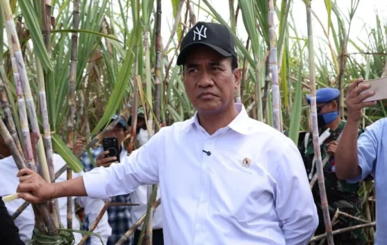 Mentan Amran tinjau peremajaan dan pengembangan areal tebu di Tulang Bawang, Lampung
