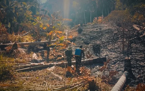 Ilustrasi pemadaman kebakaran hutan dan lahan