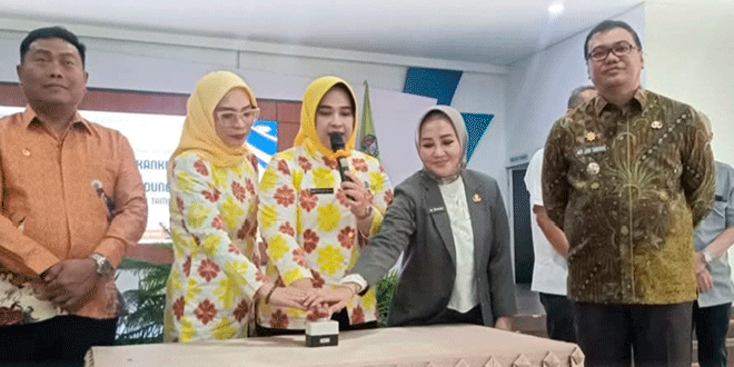 Wakil Direktur Bidang Pelayanan Medis RSUD Amri Tambunan