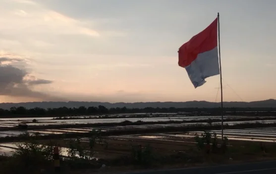 Bendera Merah Putih dikibarkan di rumah saat HUT RI