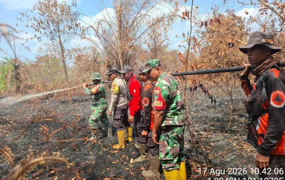 Prajurit TNI memadamkan kebakaran lahan di Kalimantan
